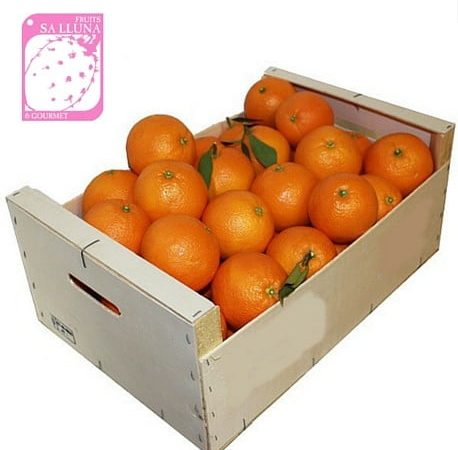 Naranjas de Menorca