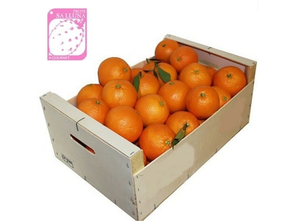 Naranjas de Tarragona
